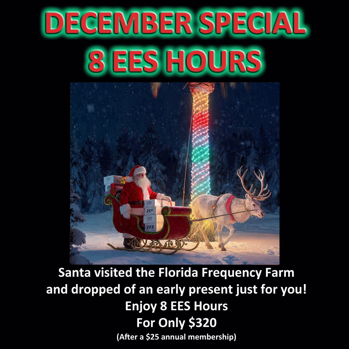8 Hour December Special
