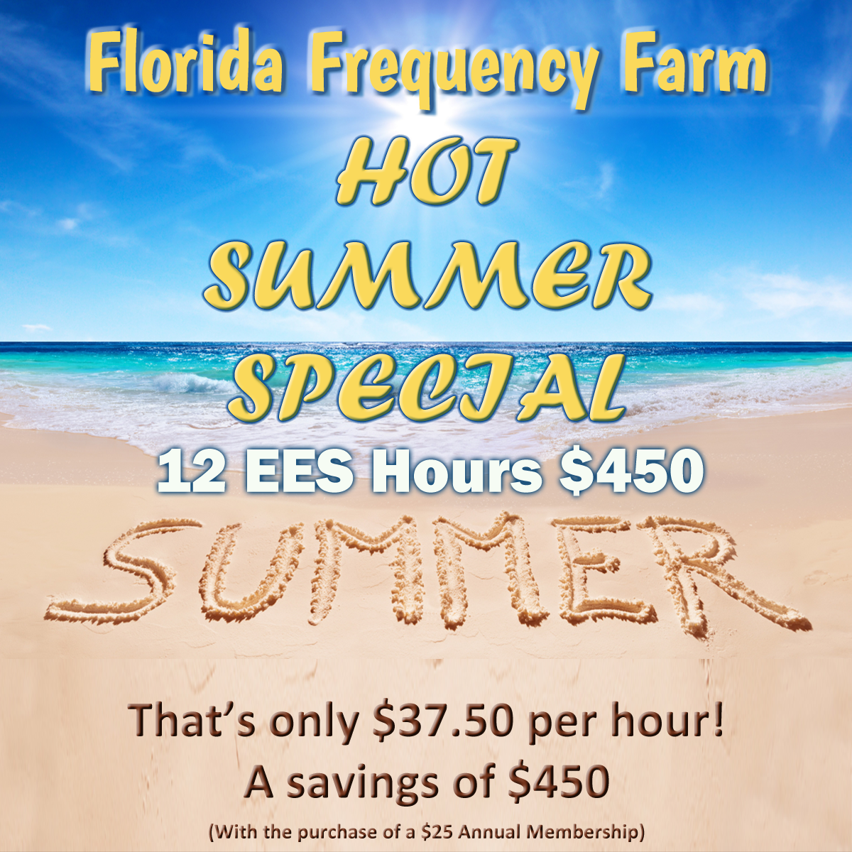 12 hour Summer Special