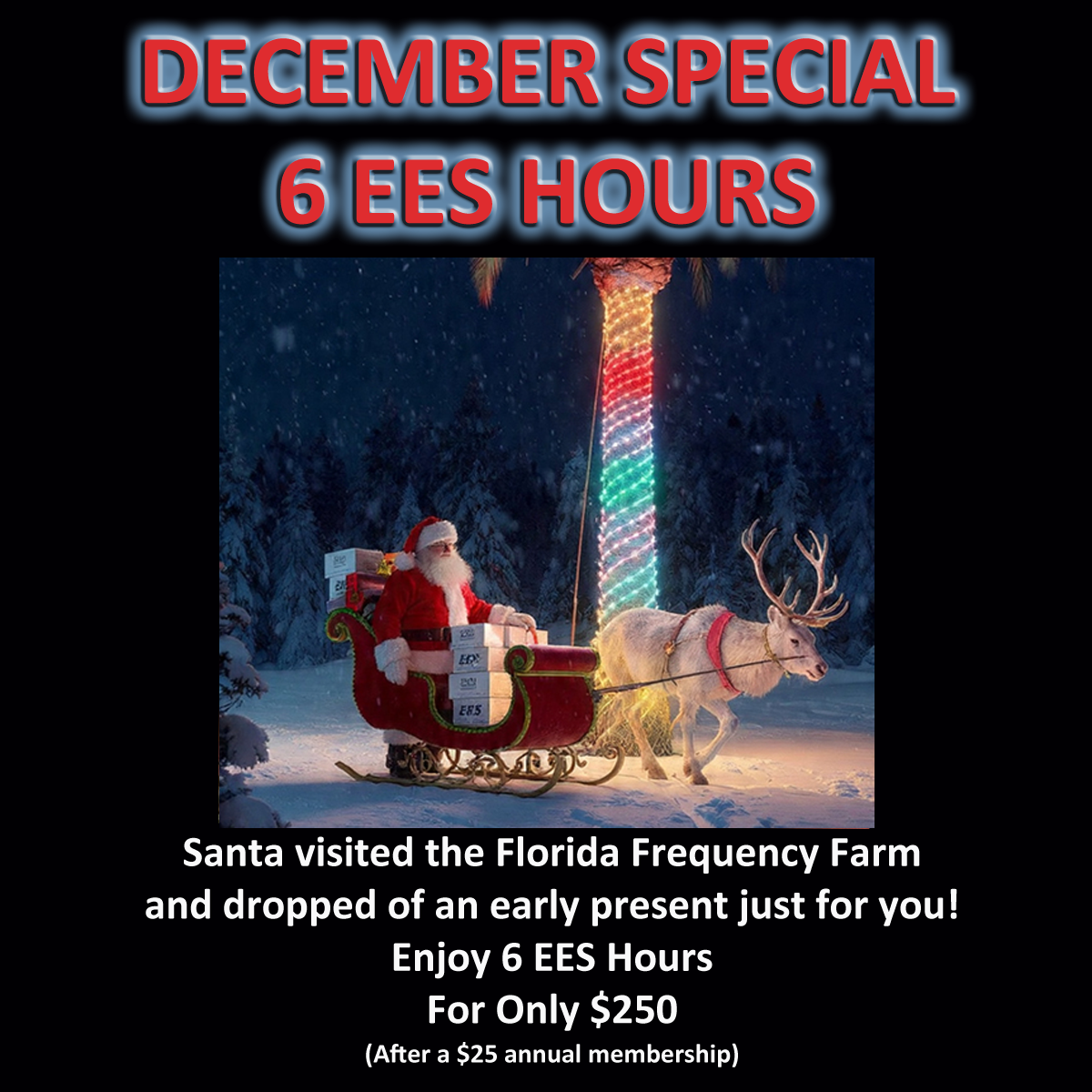 6 Hour December Special