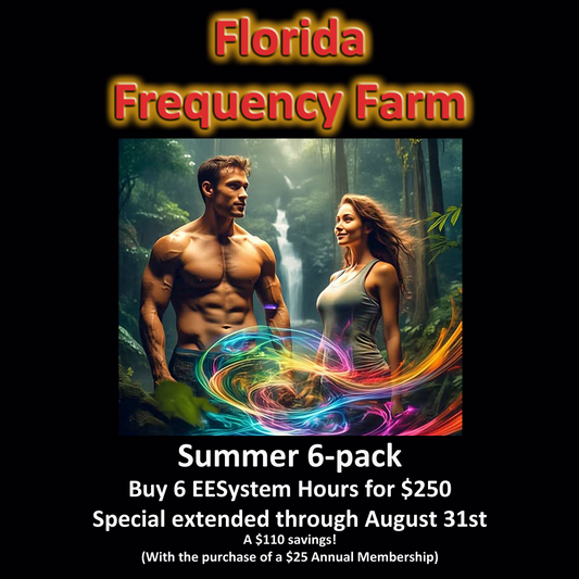 Summer 6-Pack