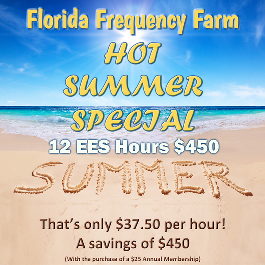 12 hour Summer Special